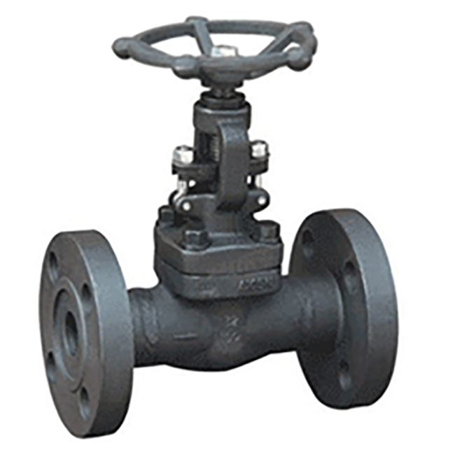 Forged steel flange globe valve